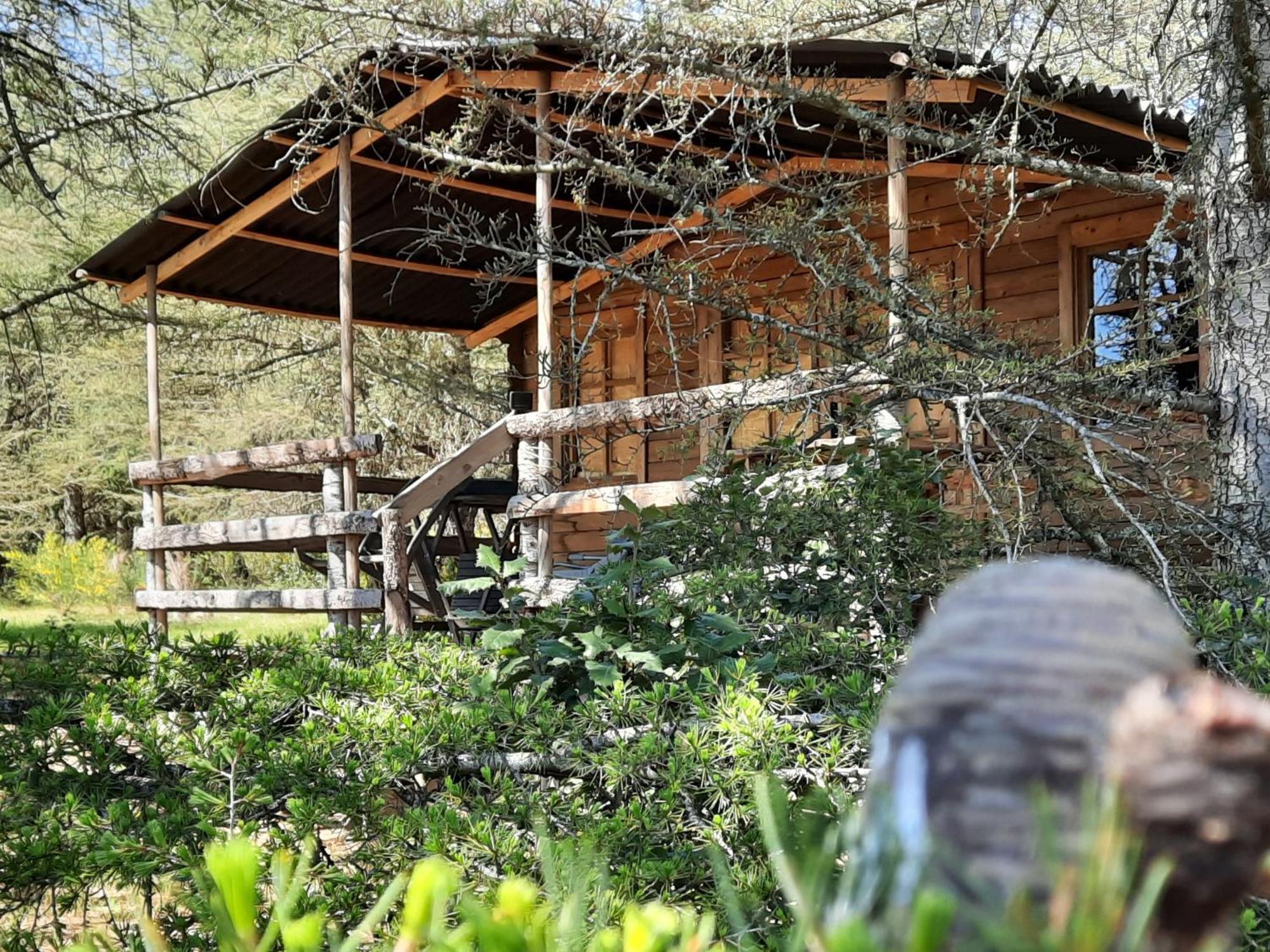 Domaine De La Vitarelle Glamping Villaniere Exterior foto